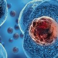 Exploring Stem Cell Therapy: What You Need to Know