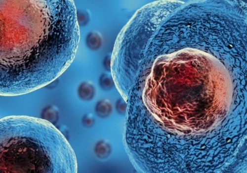 Exploring Stem Cell Therapy: What You Need to Know